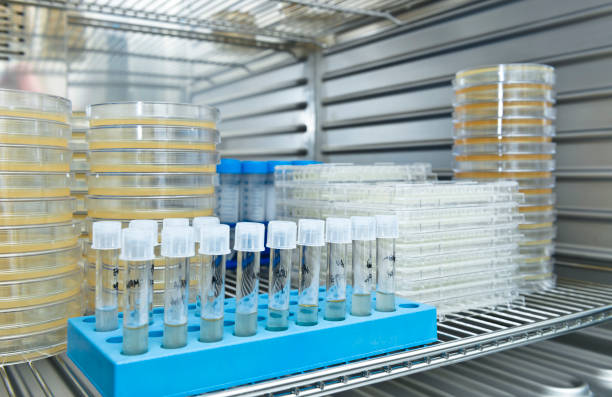 Transport Médical Lyon