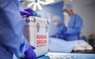 Quels sont les délais critiques à respecter dans le transport d’organes pour transplantation ?