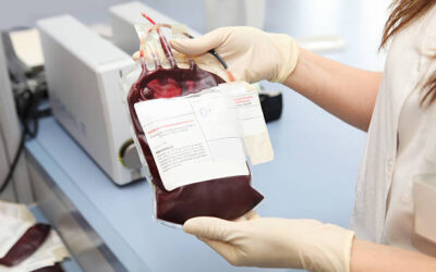 Quelles sont les règles à respecter pour un transport de sang à Lyon en milieu hospitalier ?