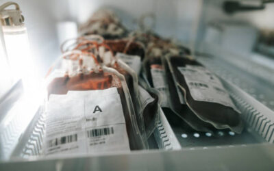 Qui est habilité à effectuer un transport de sang à Lyon entre deux établissements de santé ?